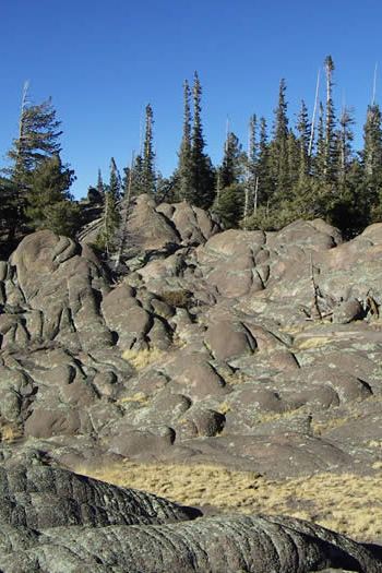 Along the East Baldy Trail